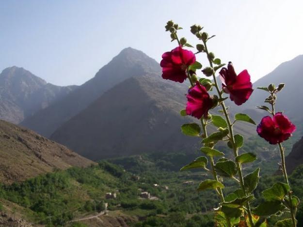 Le Village Du Toubkal 4* Imlil (Atlas Mountains)